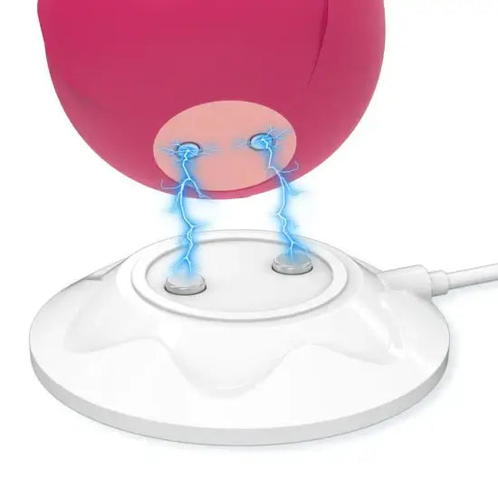 Why is My Rose Toy Not Charging