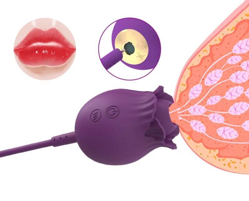 4 In 1 Detachable Rose Toy