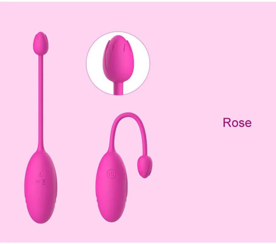 Remote Control Rose Toy