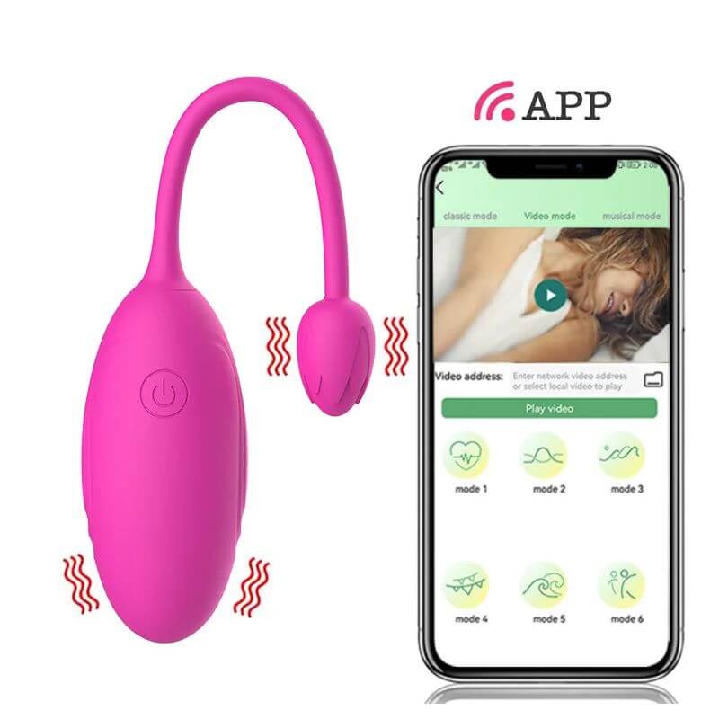 Remote Control Rose Toy