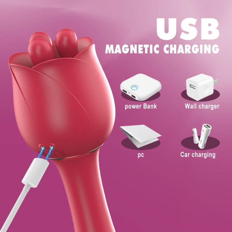 Rose Toy Wand For Women Magnetic USB