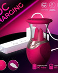 Rose Toy with Suction