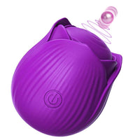 rose vibration purple