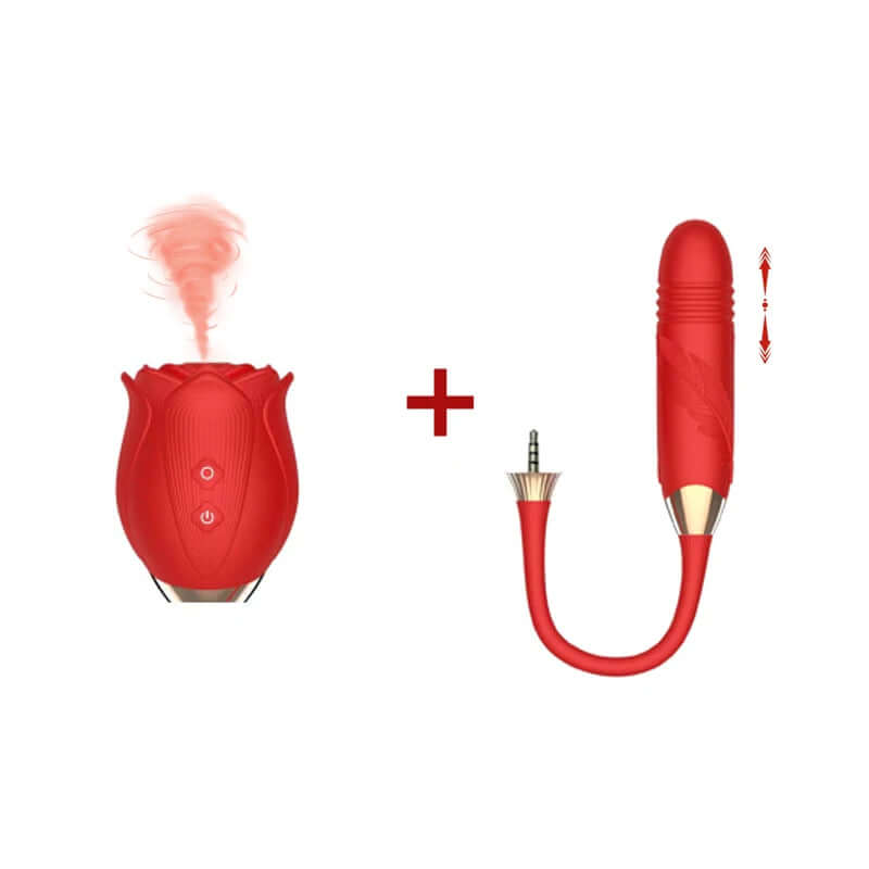 Detachable 2 in 1 Rose Sexual Toy 10 Speeds Sucking & Vibration