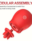 Rose Vibrator MODULAR ASSEMBLY