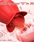 10 Speeds Rose Clitoral Stimulator With Licking Vibrator