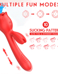 Rabbit Rose Toy mode animation labeled with ten suction patterns and telescopic movement arrows on the long shaft