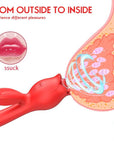 rabbit vibrator rose toy FROM OUTSIDE TO INSIDE