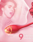 Illustration of the connected egg vibrator with vibration lines and a caption listing nine vibration modes