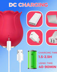 Rose Toy Vibrator DC Charging