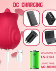 the rose sex toy DC CHARGING