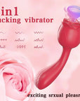 2 in 1 sucking vibrator