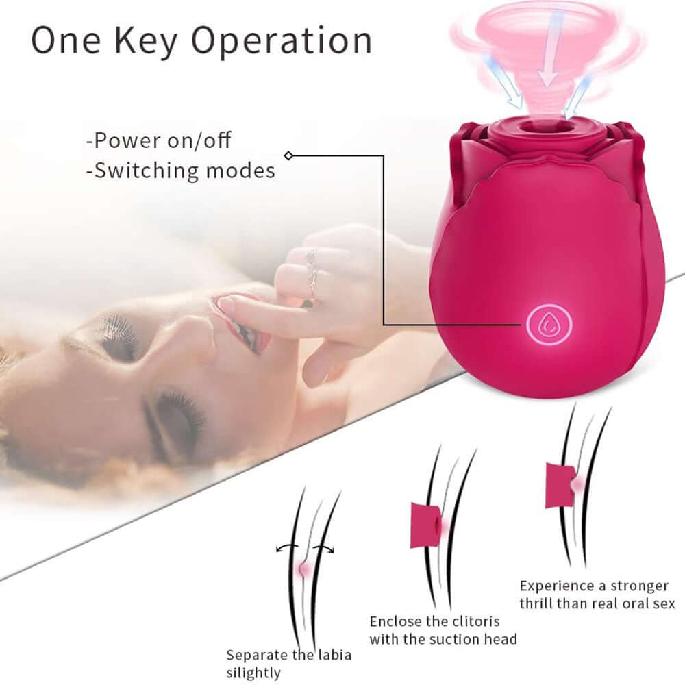Pink Rose Toy