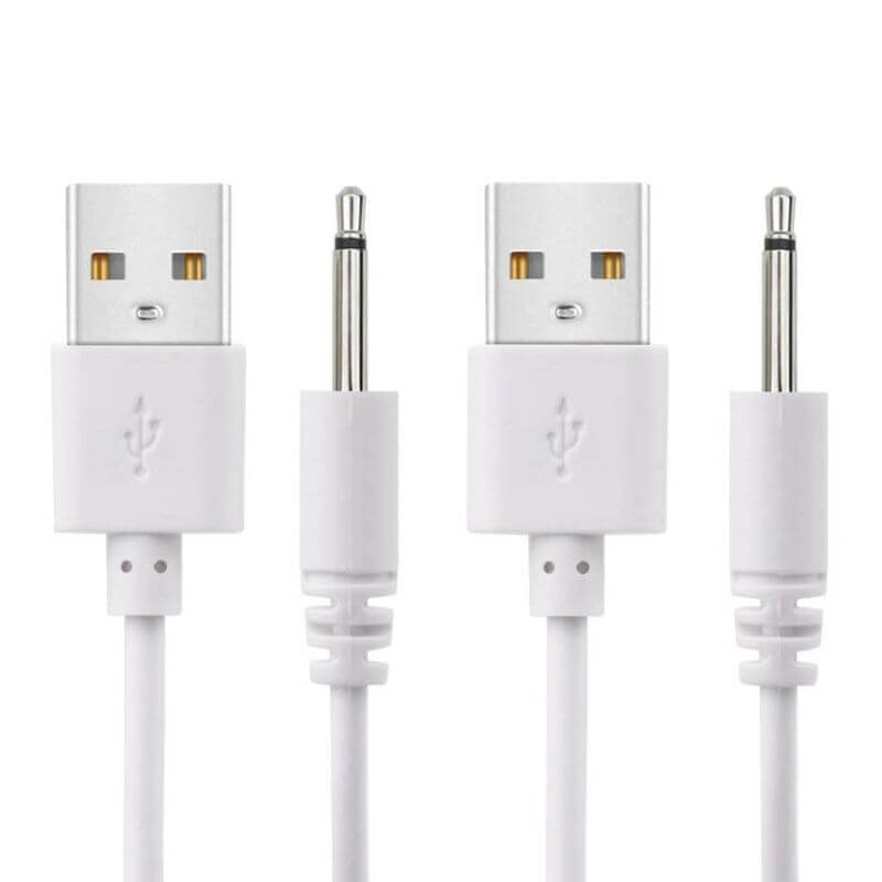 Charger For Rose Toy