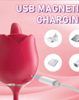 Double Fantasy Rose Toy USB Magnetic Charging