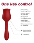 Rose suction toy with tail specification guide listing silicone and ABS, magnetic USB charging, three speeds and seven frequency patterns