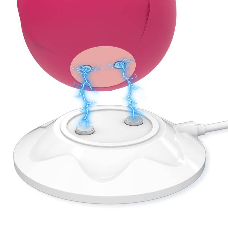 Rose Toy Charger - USB Magnetic Fast Charging RoseZoe Rose Toy Charger - USB Magnetic Fast Charging RoseZoe