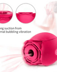 Rose Toy Sucking Vibrator