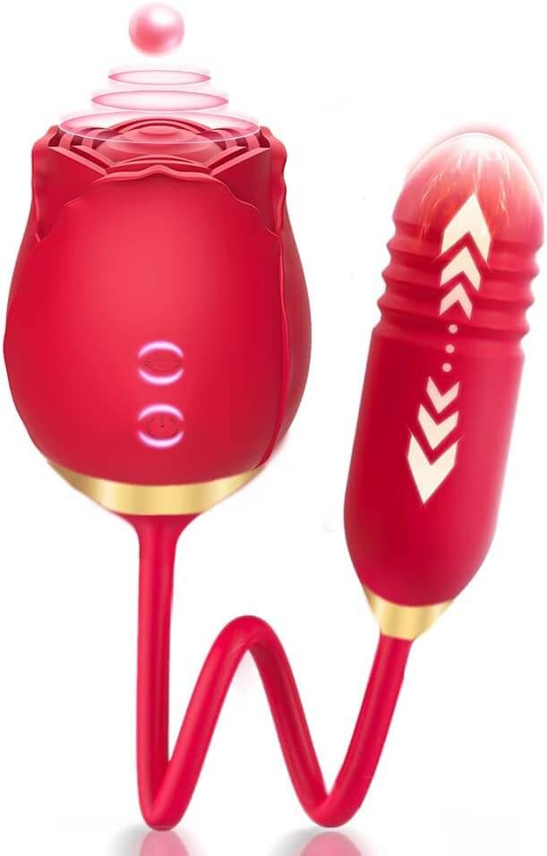 Rose Adult Toy USB Magnetic Charging – RoseZoe