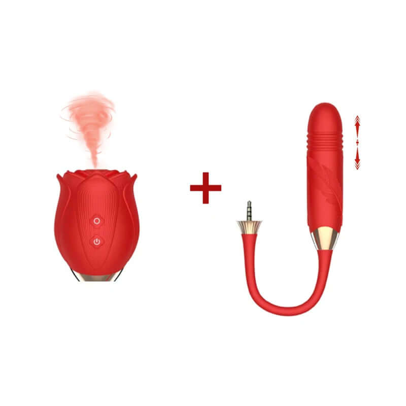 Abnehmbares 2-in-1-Rosen-Sexspielzeug mit 10 Saug- und Vibrationsgeschwindigkeiten