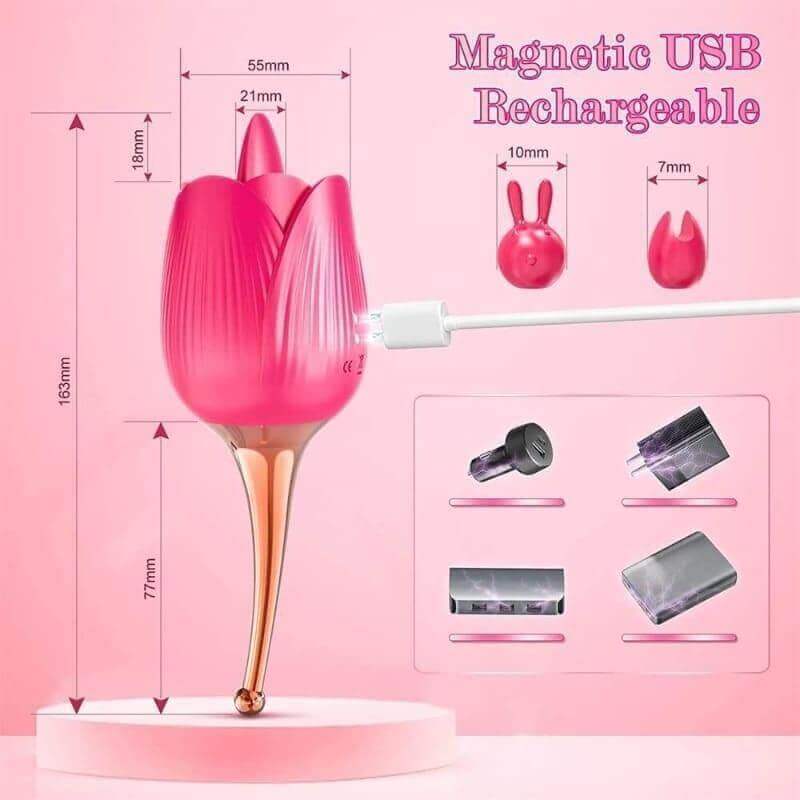 Alvina rose vibrator size diagram marking 163 mm overall, 55 mm flower width and 77 mm stem, beside two silicone caps and a magnetic USB cable