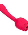 Side angle of the red Dora suction rose showing its long curved stem, rounded textured end and petal-framed opening