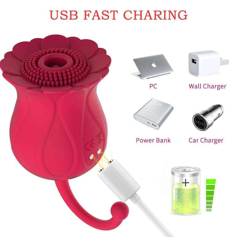 Red flower suction toy with magnetic USB cable aligned to its two charging contacts and compatible USB power-source illustrations