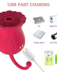 Red flower suction toy with magnetic USB cable aligned to its two charging contacts and compatible USB power-source illustrations