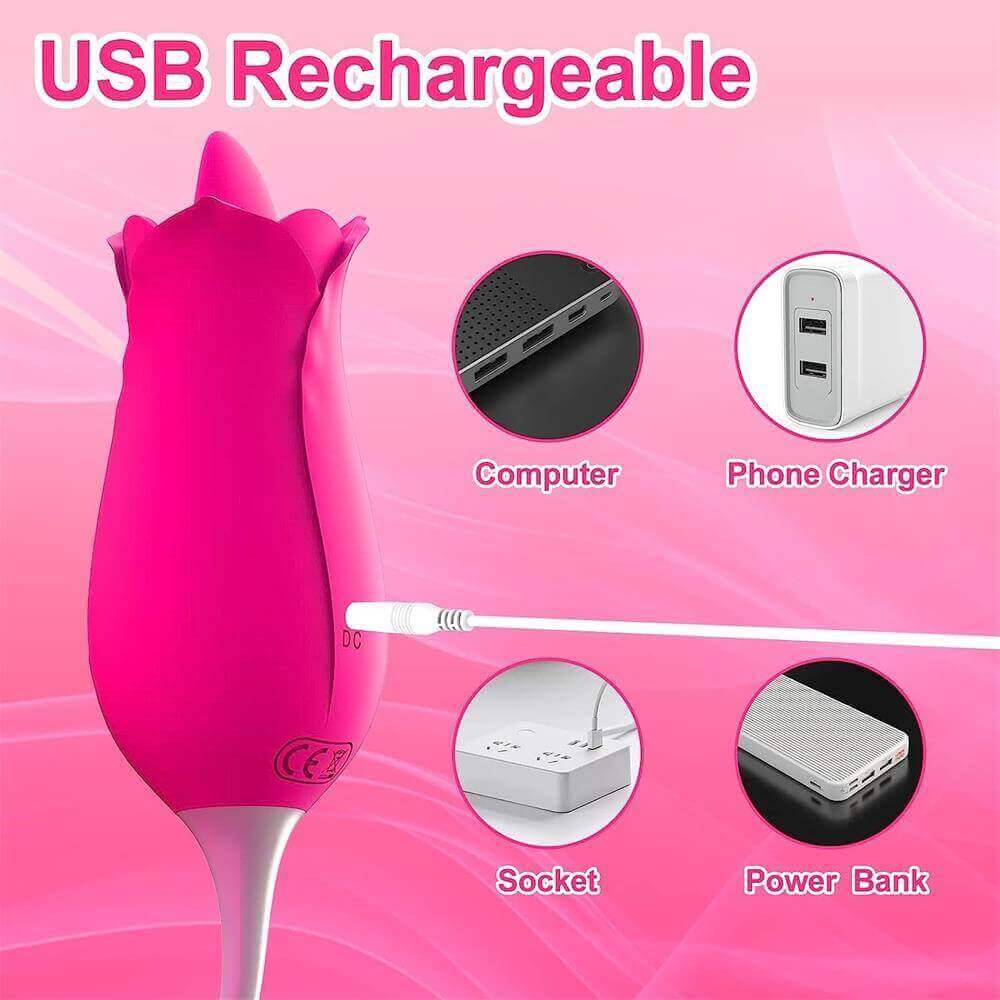Flower tongue vibrator charging diagram showing a white pin-style cable entering a side port marked DC