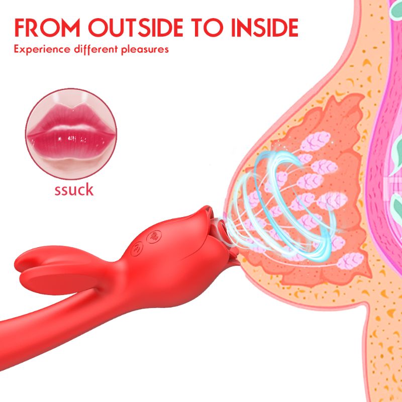 rabbit vibrator rose toy FROM OUTSIDE TO INSIDE
