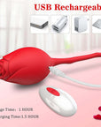 Red rose vibrating egg with a white charging plug in its rear socket, wireless remote and guide listing 1.5-hour charging and 1-hour use estimates