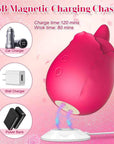 Dual-action rose vibrator above a white USB magnetic charging base, with a graphic listing approximately 120 minutes charging and 80 minutes use
