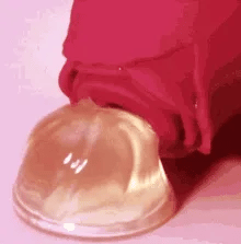 The Original Rose Toy – The Rose