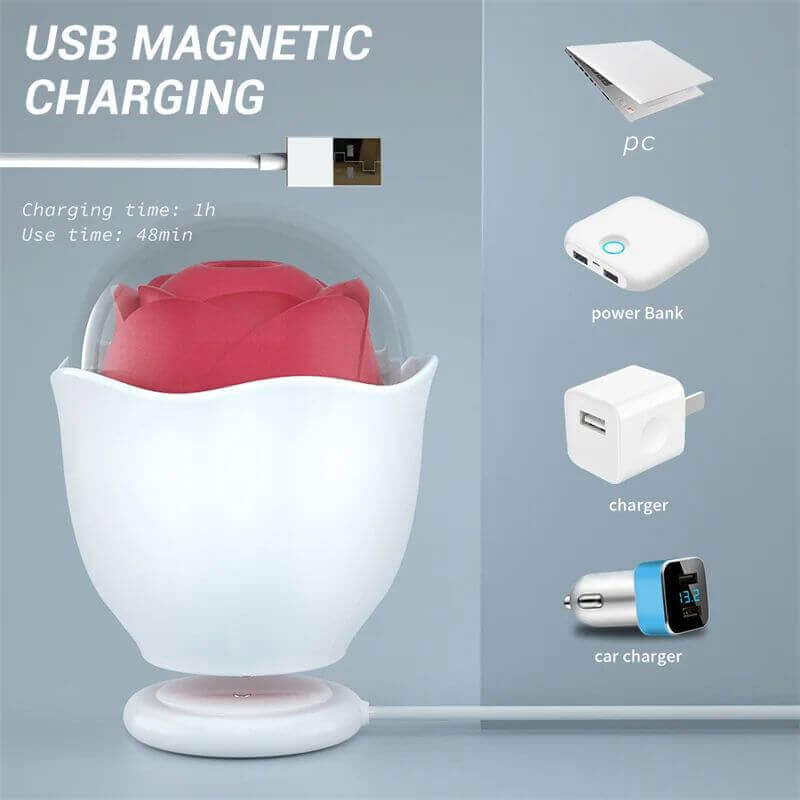 Rose suction toy in a white eggshell-shaped holder on its magnetic USB charging base with charge-time guide