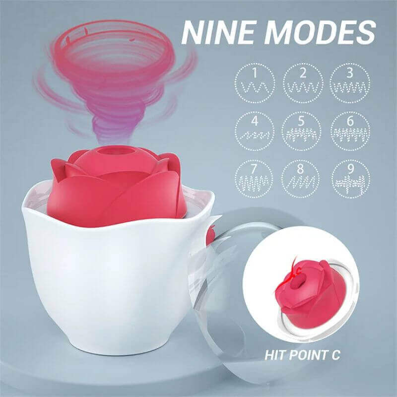 Red rose suction head in an eggshell-shaped holder with a chart of nine selectable patterns