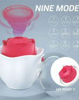 Red rose suction head in an eggshell-shaped holder with a chart of nine selectable patterns