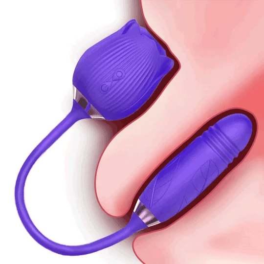 Purple ribbed 2-in-1 rose suction vibrator with two controls and connected lower arm, positioning illustration