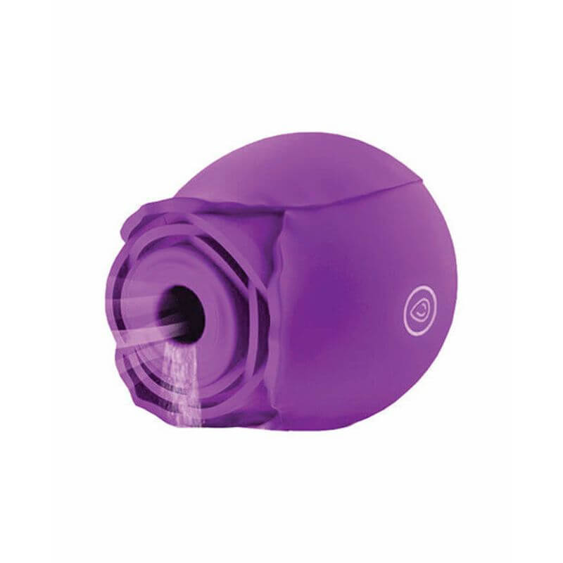 https://rosezoe.com/cdn/shop/products/purple-rose-toy-3.jpg?v=1674556894&width=800