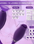 Rose Petal vibrator function diagram labeling ten suction, ten tongue movement and ten vibration settings