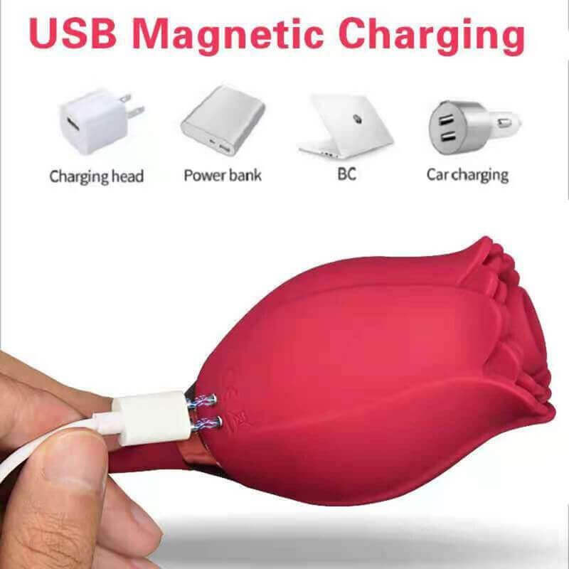 Rose Toy Deluxe magnetic USB charging diagram showing the cable aligned with two charging contacts on the flower body