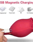 Rose Toy Deluxe magnetic USB charging diagram showing the cable aligned with two charging contacts on the flower body
