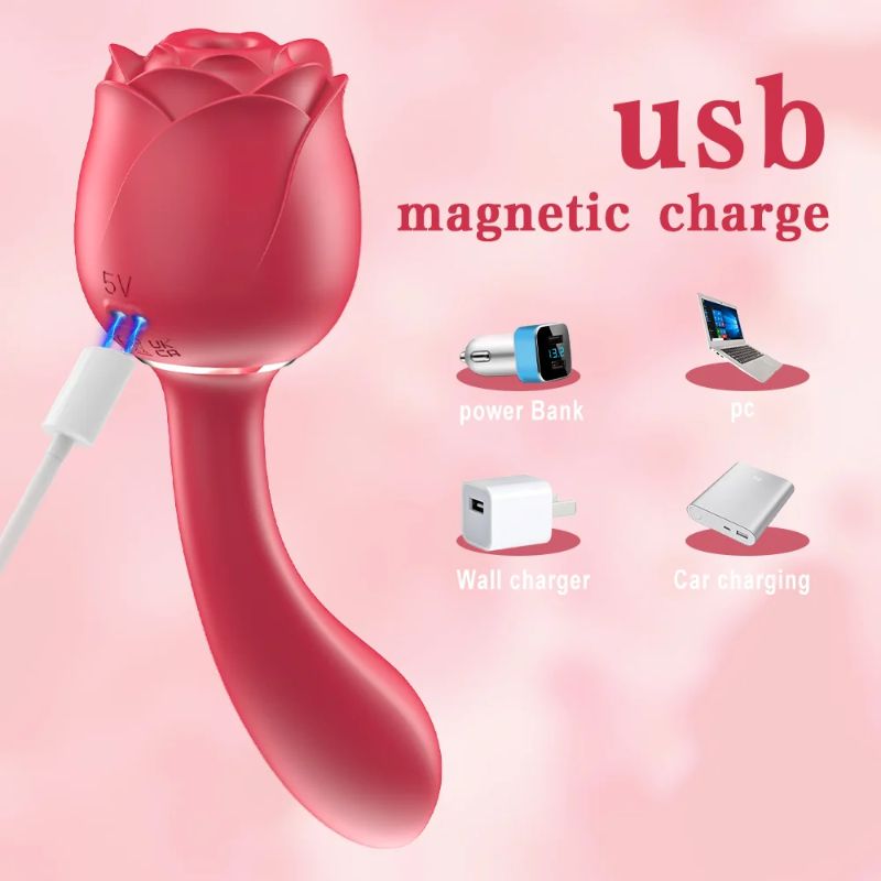 Rose Wand Sex Toy USB Charging